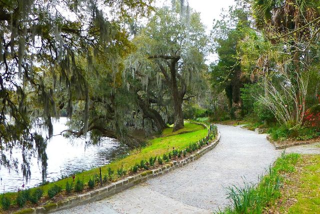 The Charm of Charleston