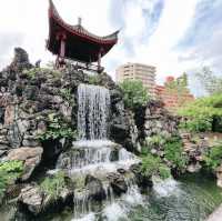 🌸福州園🌸繁華城市中的一片綠洲
