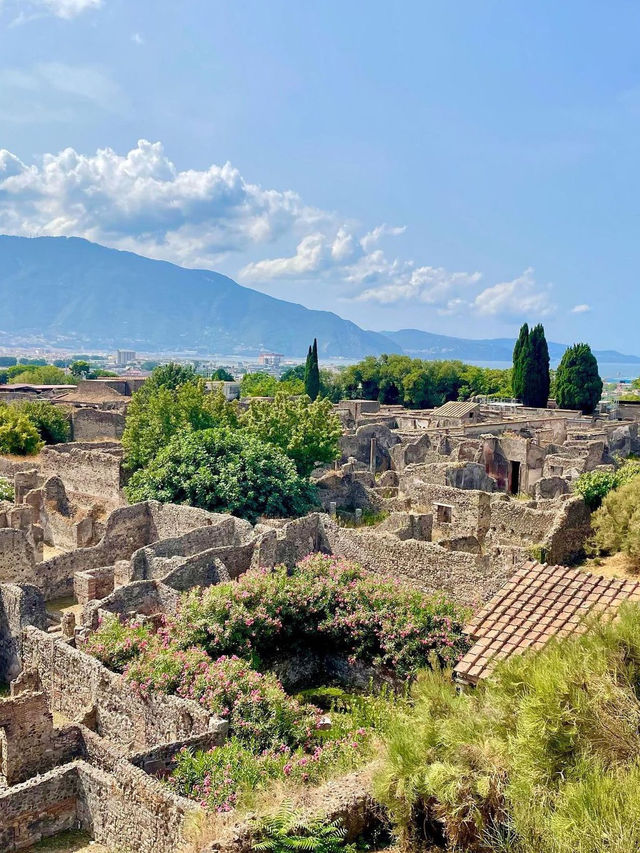 The famous Pompeii 🚨