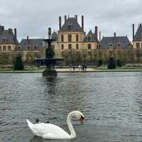 Fontainebleau is a real gem!
