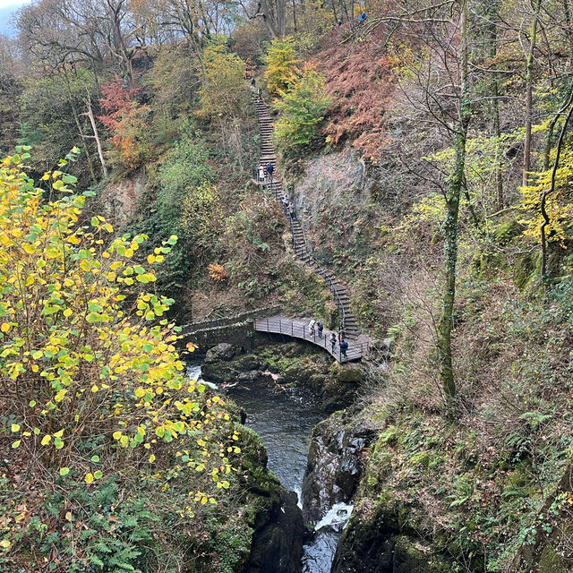 Chasing Waterfalls: A Scenic Drive to Aira Force