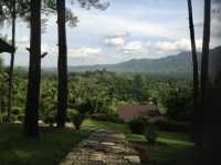 Borobudur: Hidden in the Jungle