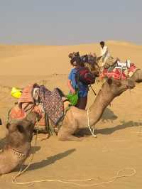 Camel Safari in Jaisalmer: A Journey Through the Thar Desert