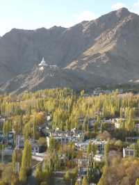 Namgyal Tsemo: The Ancient Fortress on Tsemo Hill