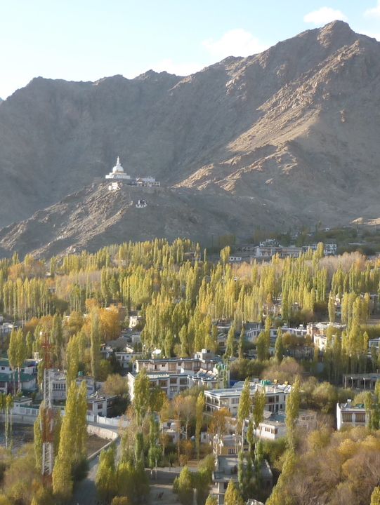 Namgyal Tsemo: The Ancient Fortress on Tsemo Hill