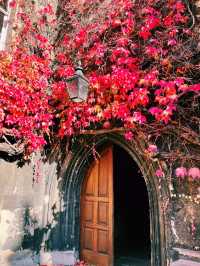 🌿 Lincoln & St John’s College: Two Oxford Gems Worth Exploring! 🌿