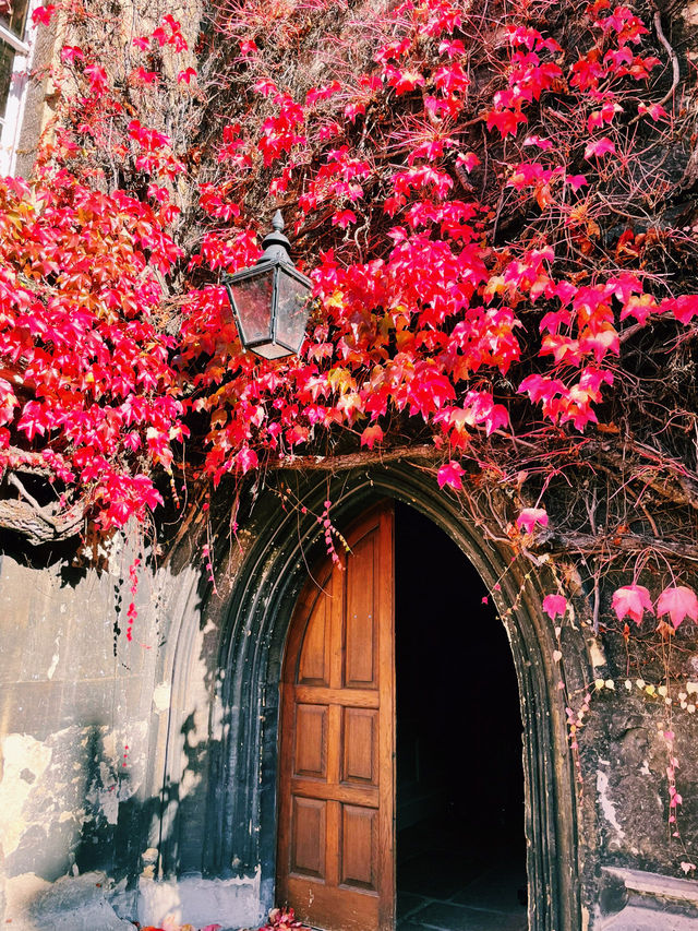🌿 Lincoln & St John’s College: Two Oxford Gems Worth Exploring! 🌿
