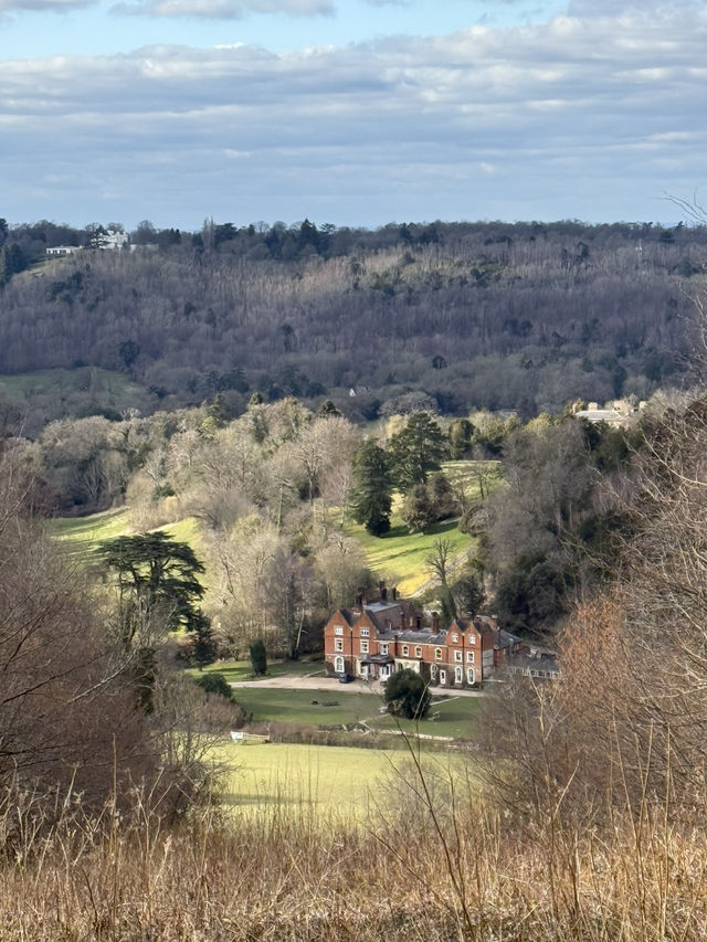 Exploring the enchanting Surrey Hills! ✨🌿
