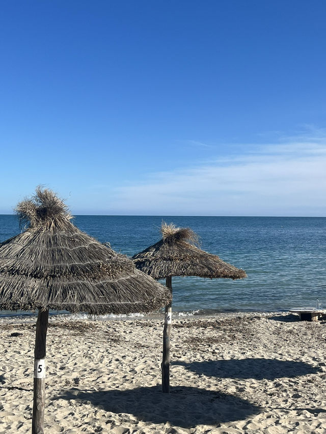Yummy grilled fish with beach view in Djerba