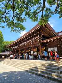 ⛩️ Meiji Jingu Shrine: Early Morning or Afternoon Visit? 🌅🌇