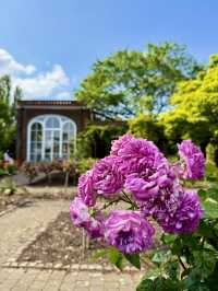 Art and Nature in Holland Park