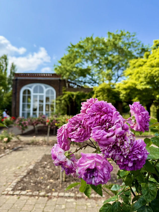 Art and Nature in Holland Park