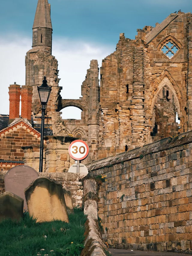 Seagulls, Sunsets, and Shadows: A Day in Whitby