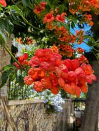 Heybeliada & Büyükada: Tranquil Escapes of the Princes’ Islands