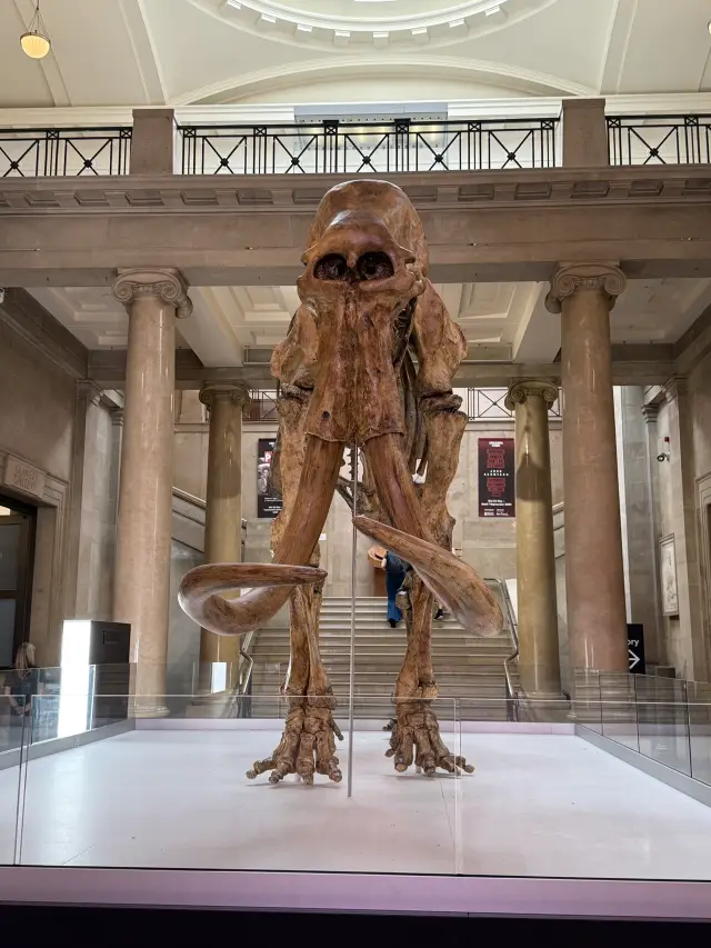 My Favourite Free Place In Cardiff, The Incredible National Museum Of Wales 