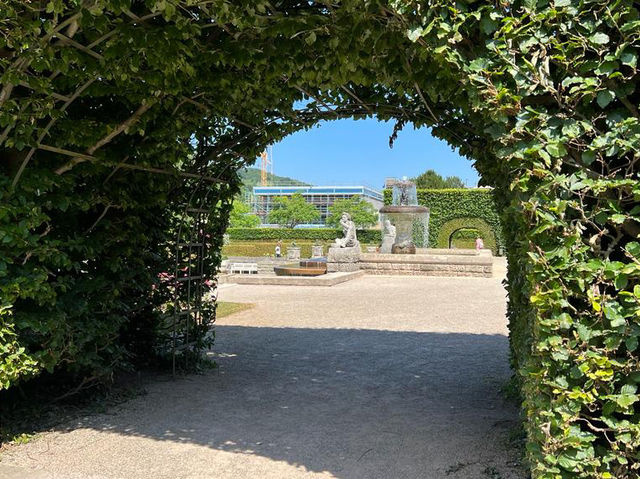 🌹✨ A Blooming Dream: Rose Garden of Baden-Baden, Germany 🇩🇪🌿   🌹✨ A Blooming Dream: Rose Garden of Baden-Baden, Germany 🇩🇪🌿