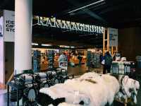 Welcome to Iceland: Keflavík Airport Tips & Highlights