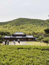 紹興4日遊