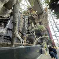 Cruising Baltimore’s Inner Harbor