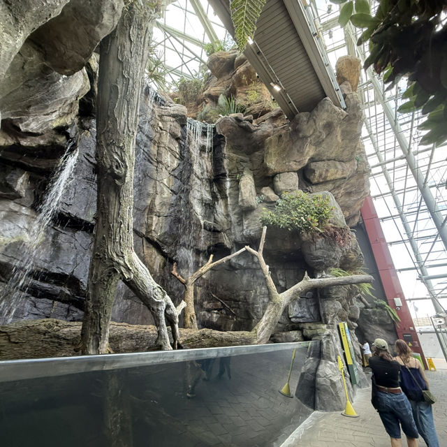 Cruising Baltimore’s Inner Harbor