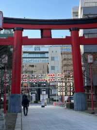 Ready to uncover a side of Tokyo that's full of local flavor and zen vibes? 
