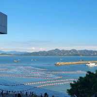 🌊🐬 Dive Into the Magic of Sea World Shenzhen! 🐠✨