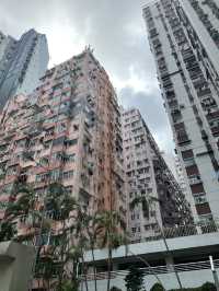 Hong Kong City Gems🌆