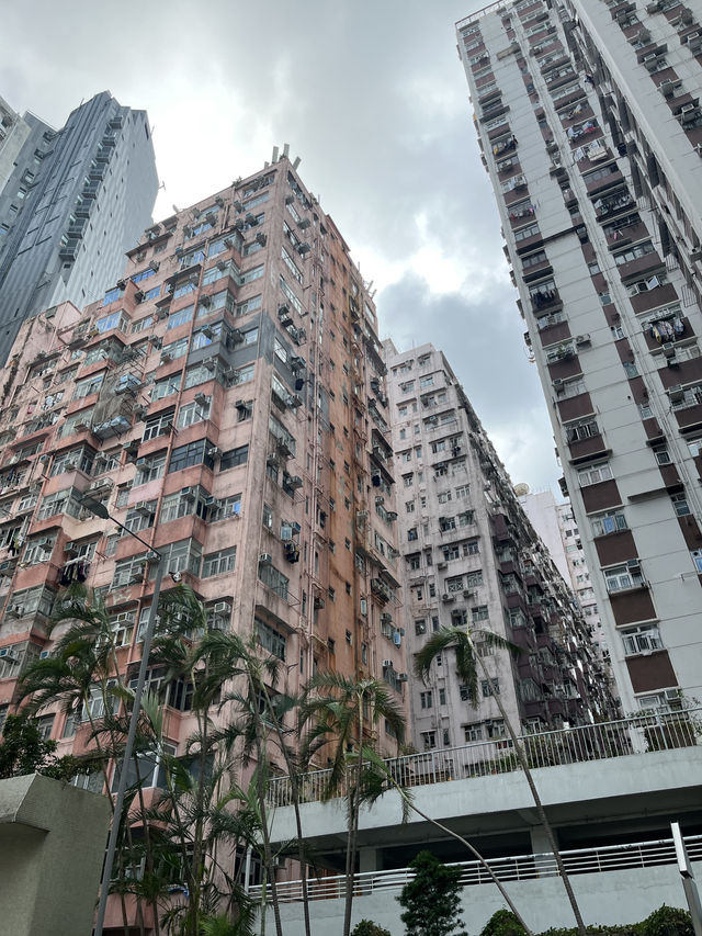 Hong Kong City Gems🌆