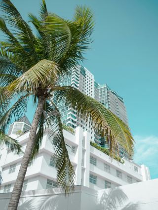 海灘和市中心形成了鮮明的對比，兩者都沐浴在正午的烈日之下。