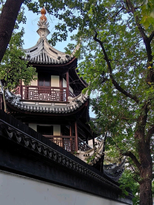 Шанхай за один день: между прошлым и будущим