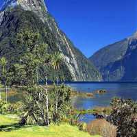 Milford Sound / Piopiotahi