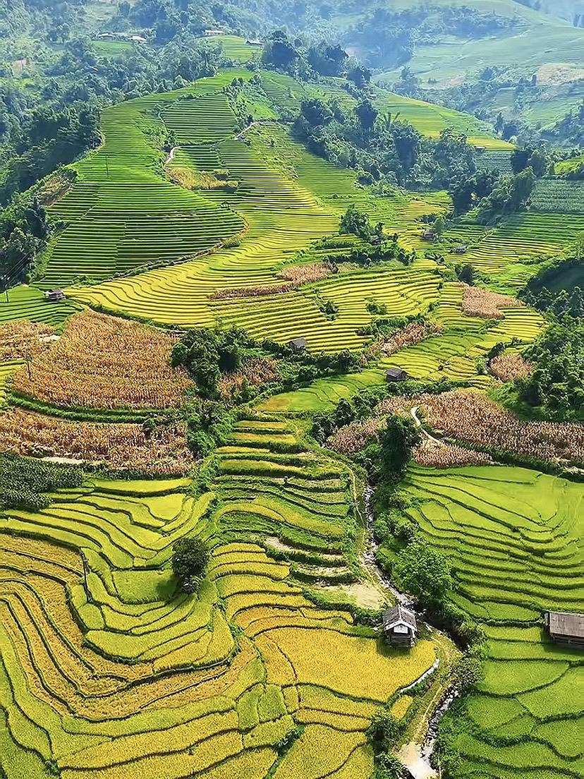 ベトナムで棚田を見るのに最高の絶景スポット。 | Trip.com サパ