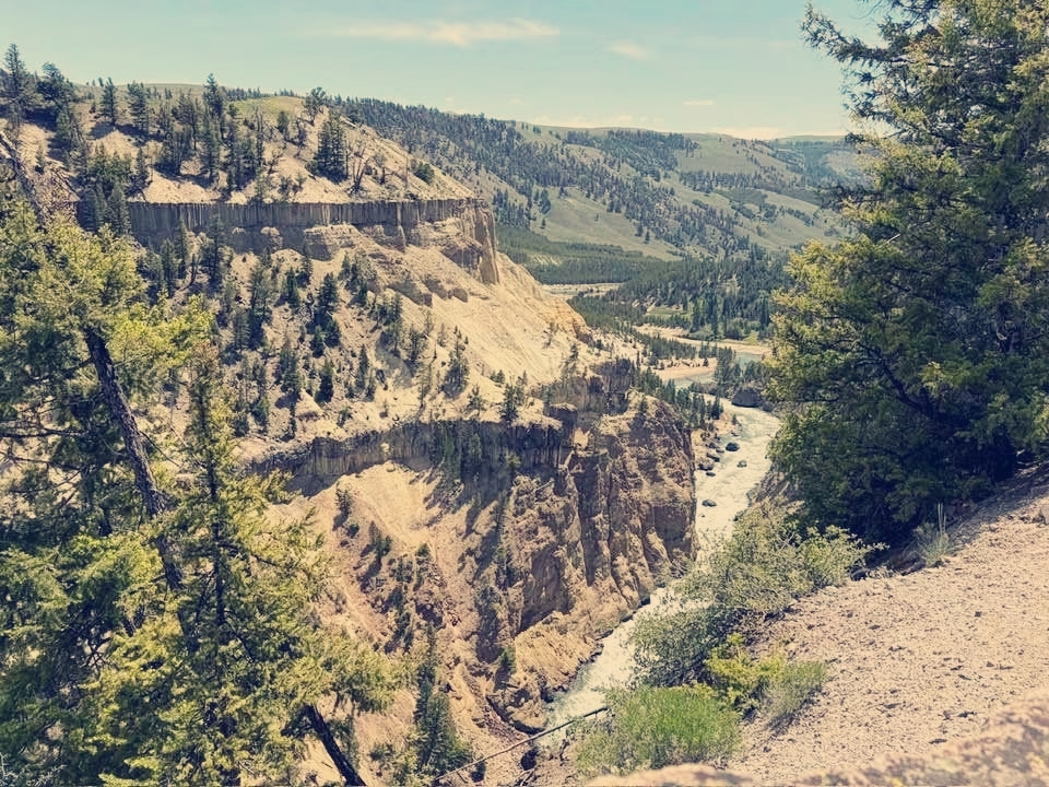 Yellowstone Upper Loop & Lamar Valley: Photo vs Reality Travel 🚗🌄