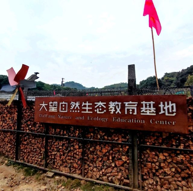 Strawberry picking in Louhu Shenzhen 