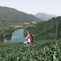 Longwu Tea Village without Travel Agency 🍵