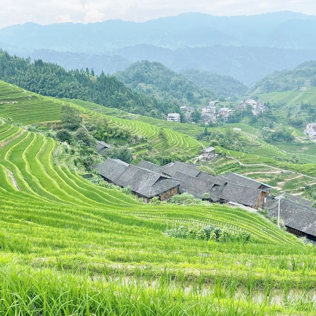 Rice Terrace Walks 