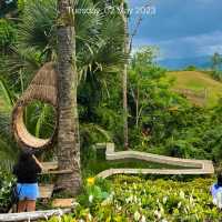 Sirao Garden in Cebu 