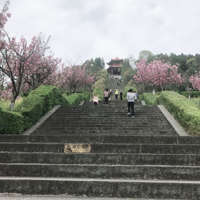 Prince Teng’s Pavilion 🌸