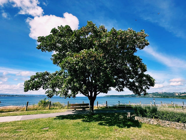 Taupo Hiking