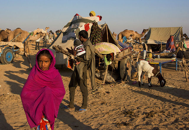 India Camel Festival