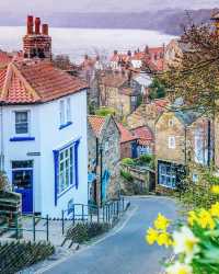 Colorful spring 🍀 - Yorkshire