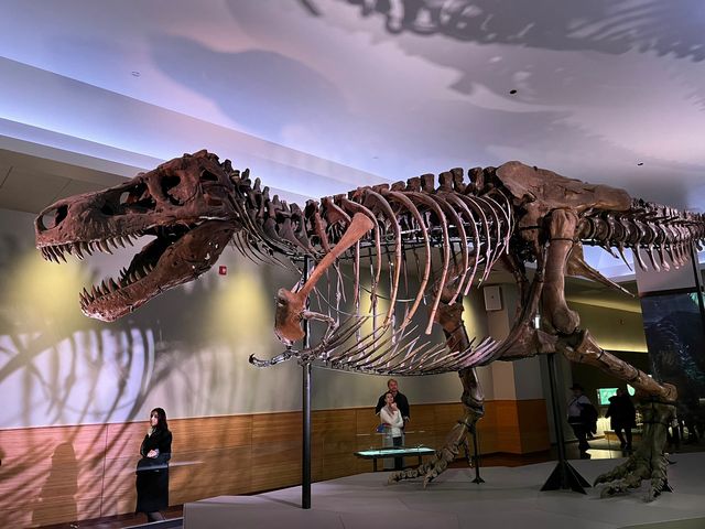 Field Museum: Embark on a scientific journey! 🖍️