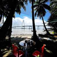 Coconut Forest 🌴 