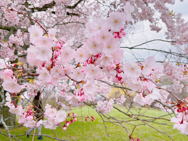 Early spring at the Royal Botanical Gardens in Canada.