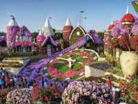 A Floral Oasis of Wonders! 🇦🇪