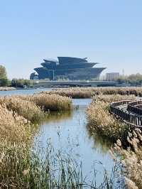 深秋的明月湖國家濕地公園令人心情氣爽