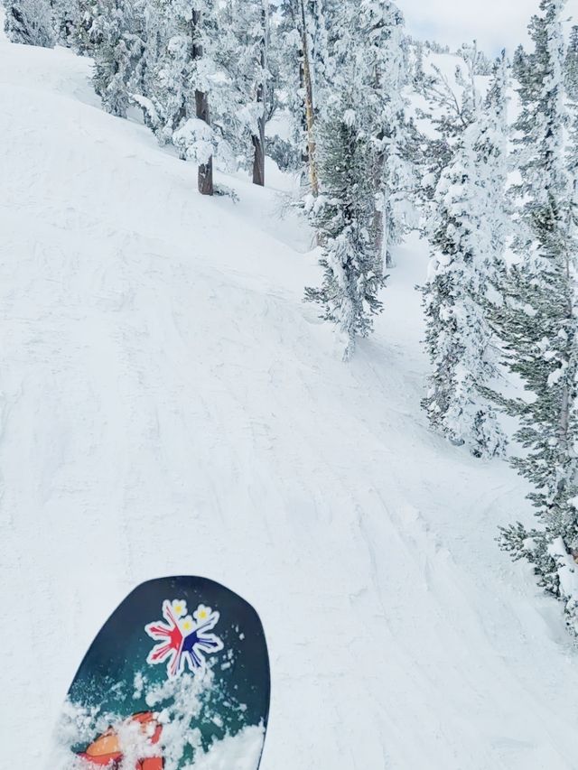 冬天一定要來太浩湖天堂滑雪場