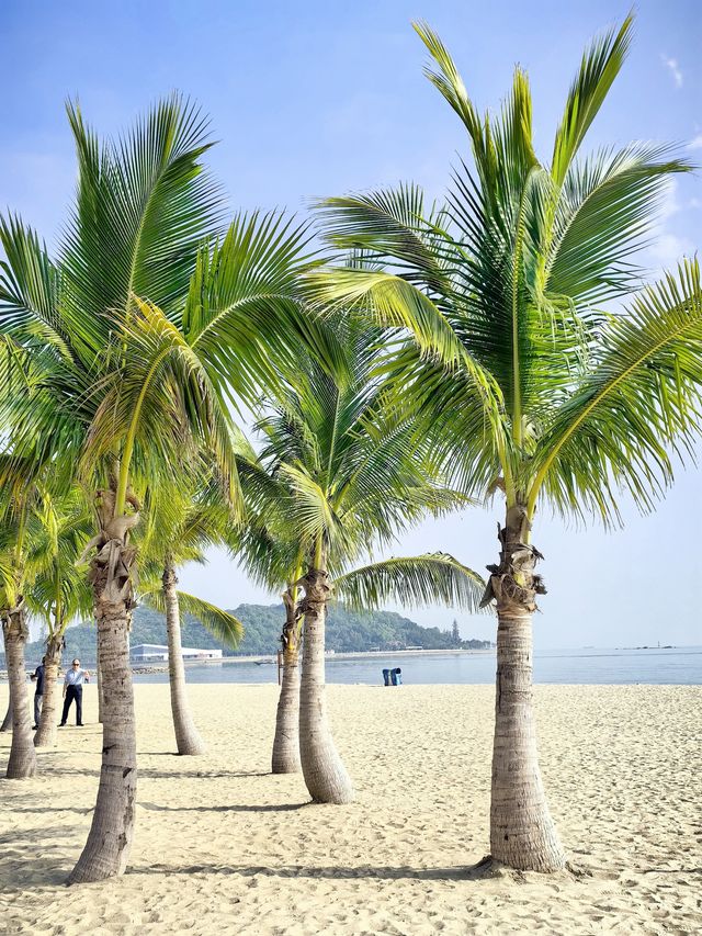 珠海旅遊|打卡珠海人氣最高的觀海景點！