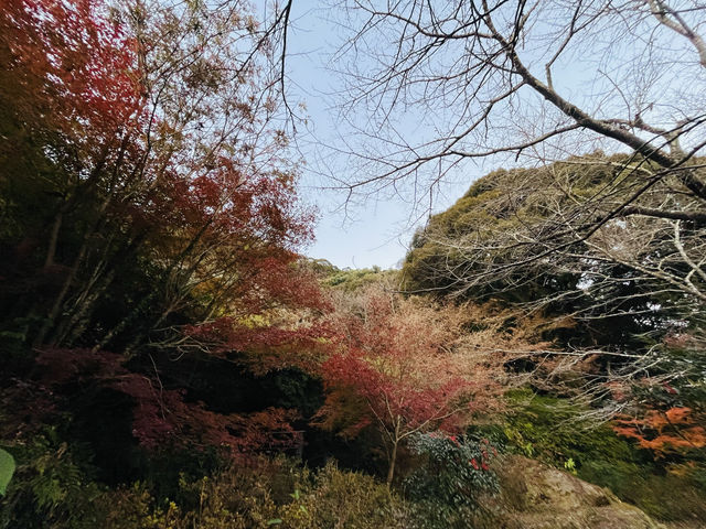 武雄溫泉之樂園