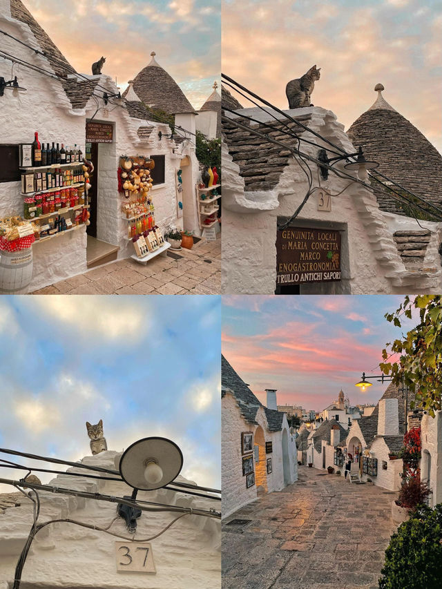 意大利童話世界之旅攻略  Alberobello